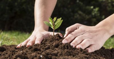 Cuenta de Ahorros Especiales